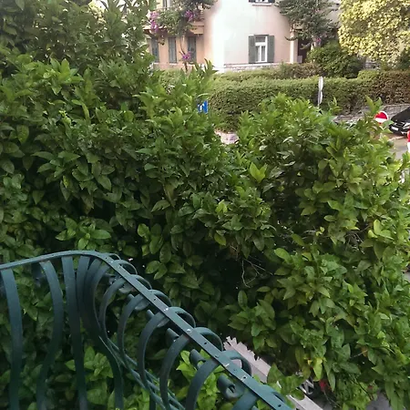 Апартаменти Marijo *
